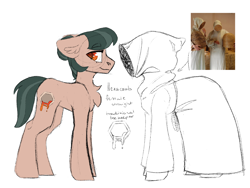 Size: 2048x1536 | Tagged: safe, artist:itsspoops, oc, oc only, oc:hexacomb, earth pony, pony, beekeeper, chest fluff, clothes, female, floppy ears, mare, reference sheet, robe