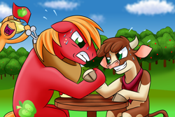 Size: 1800x1200 | Tagged: safe, artist:thescornfulreptilian, applejack, arizona (tfh), big macintosh, cow, earth pony, pony, them's fightin' herds, g4, cheering, community related, crossover, flag, grin, gritted teeth, hoofwrestle, open mouth, smiling, sweat, sweet apple acres, uvula, volumetric mouth