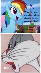 Size: 938x1649 | Tagged: safe, edit, edited screencap, screencap, rainbow dash, pegasus, pony, g4, my little pony: the movie, bugs bunny, bugs bunny's no, female, male, mare, meme, no