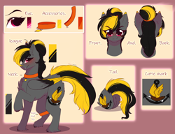 Size: 5916x4541 | Tagged: safe, artist:krissstudios, oc, oc only, pegasus, pony, absurd resolution, colored wings, female, mare, multicolored wings, reference sheet, solo, wings