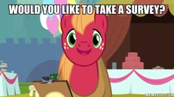 Size: 600x337 | Tagged: safe, edit, edited screencap, screencap, big macintosh, earth pony, pony, g4, the last problem, caption, clipboard, cute, image macro, macabetes, male, memeful.com, solo, text