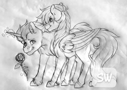 Size: 960x683 | Tagged: safe, artist:silentwolf-oficial, oc, oc only, pegasus, pony, unicorn, chest fluff, duo, flower, glowing horn, grayscale, horn, lineart, magic, monochrome, pegasus oc, rose, telekinesis, traditional art, unicorn oc, watermark, wings