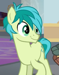 Size: 458x578 | Tagged: safe, screencap, sandbar, yona, earth pony, pony, yak, g4, she's all yak, cropped, male, smiling, solo focus