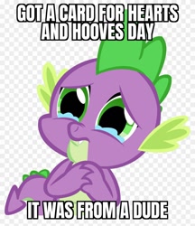 Size: 840x970 | Tagged: safe, spike, dragon, g4, bad day, bad luck, caption, crying, heartbreak, hearts and hooves day, i can't believe it's not useraccount, image macro, implied gay, male, single, sucks to be him, text