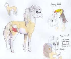 Size: 2000x1674 | Tagged: safe, artist:lady-limule, oc, oc only, oc:almond, bird, earth pony, pony, toucan, earth pony oc, female, glasses, mare, reference sheet, story included, traditional art
