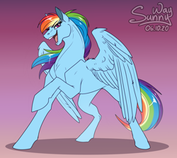 Size: 1200x1068 | Tagged: safe, artist:sunny way, rainbow dash, pegasus, pony, g4, concave belly, female, hooves up, mare, open mouth, raised hoof, sketch, slender, solo, spread wings, sternocleidomastoid, thin, wings