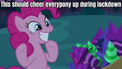 Size: 1920x1080 | Tagged: safe, edit, edited screencap, screencap, pinkie pie, earth pony, pony, g4, season 9, the summer sun setback, bush, caption, coronavirus, covid-19, cute, diapinkes, excited, female, fireworks, grin, image macro, mare, night, pinkie being pinkie, sitting, smiling, solo, text, underhoof, wide smile