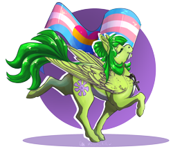 Size: 1974x1701 | Tagged: safe, artist:magnetichollow, oc, oc only, oc:midori kuroba, pegasus, pony, ankh, chest fluff, colored, egyptian, egyptian pony, freckles, pansexual, pride, pride flag, simple background, solo, transgender pride flag, transparent background