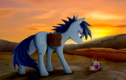 Size: 4724x2999 | Tagged: safe, artist:lth935, oc, oc only, oc:p-21, earth pony, pony, fallout equestria, fallout equestria: project horizons, bag, desert, fanfic art, male, saddle bag, skull, solo, stallion