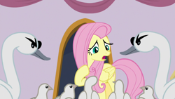 Size: 1920x1080 | Tagged: safe, screencap, fluttershy, bird, dove, pegasus, pony, swan, g4, the last problem, angry, scared