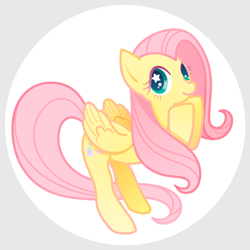 Size: 1200x1200 | Tagged: safe, artist:boon_9, part of a set, fluttershy, pegasus, pony, g4, circle background, cute, female, mare, shyabetes, solo, starry eyes, wingding eyes