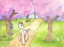 Size: 6635x4872 | Tagged: safe, artist:lightisanasshole, oc, oc only, oc:quiet keeper, pegasus, pony, bush, cherry blossoms, colored hooves, commission, forest, garden, grass, japanese, lamp, looking back, man bun, painting, pegasus oc, ponytail, road, sky, solo, traditional art, tree, walking, watercolor painting, wings