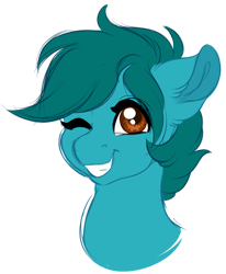 Size: 1024x1244 | Tagged: safe, artist:azure-art-wave, oc, oc only, oc:doodle, pony, bust, one eye closed, portrait, simple background, solo, transparent background, wink