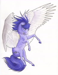 Size: 6611x8477 | Tagged: safe, artist:lady-limule, oc, oc only, oc:vionova, pegasus, pony, colored hooves, female, flying, mare, pegasus oc, rearing, solo, traditional art, wings