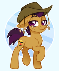 Size: 1605x1947 | Tagged: safe, artist:sickly-sour, oc, oc only, oc:vegemite, earth pony, pony, australia, bruce, colored, colored pupils, cork hat, cutie mark, earth pony oc, freckles, hat, male, simple background, smug, stallion, two toned mane, vegemite