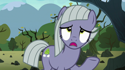 Size: 1920x1080 | Tagged: safe, screencap, limestone pie, earth pony, pony, g4, the maud couple, female, frown, looking up, mare, rock farm, solo, tree