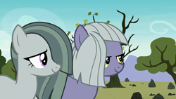 Size: 1920x1080 | Tagged: safe, screencap, limestone pie, marble pie, earth pony, pony, g4, the maud couple, female, mare, smiling