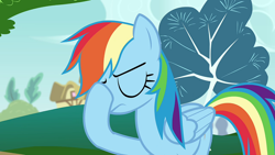 Size: 1920x1080 | Tagged: safe, screencap, rainbow dash, pegasus, pony, g4, rainbow falls, sonic rainboom (episode), facehoof, female, mare, rainbow dash is not amused, solo, unamused