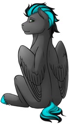 Size: 727x1280 | Tagged: safe, artist:imreer, oc, oc only, pegasus, pony, colored hooves, looking back, male, pegasus oc, simple background, sitting, solo, stallion, unshorn fetlocks, white background, wings