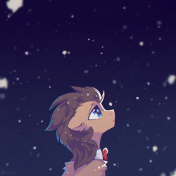 Size: 2000x2000 | Tagged: safe, artist:mirtash, doctor whooves, time turner, earth pony, pony, g4, high res, looking up, male, snow, solo