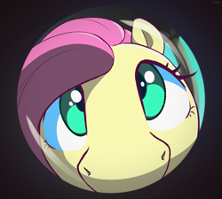Size: 3105x2796 | Tagged: safe, artist:nookprint, fluttershy, pegasus, pony, g4, cute, female, fisheye lens, high res, looking at you, looking up, mare, shyabetes, snoot, solo