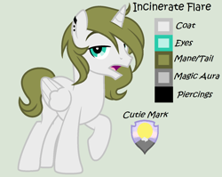 Size: 1406x1120 | Tagged: safe, artist:lominicinfinity, oc, oc only, oc:incinerate flare, alicorn, pony, male, reference sheet, simple background, solo, stallion