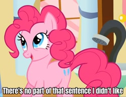 Size: 1306x1003 | Tagged: safe, edit, edited screencap, screencap, pinkie pie, earth pony, pony, feeling pinkie keen, g4, cropped, cute, diapinkes, futurama, happy, male, open mouth, reaction image, smiling, solo, zoidberg