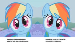 Size: 938x547 | Tagged: safe, edit, edited screencap, screencap, rainbow dash, pegasus, pony, dragonshy, g4, breaking the fourth wall, cropped, cute, dashabetes, female, frown, looking at you, mare, reaction image, smiling, solo, stare, wide eyes