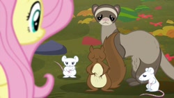 Size: 1280x720 | Tagged: safe, screencap, fluttershy, ferret, mouse, squirrel, g4, the hooffields and mccolts, animal, hungry, sad, starving, stomach growl, stomach noise, worried