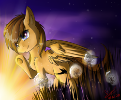 Size: 1040x859 | Tagged: safe, artist:yuris, oc, oc only, oc:sharpwing, pegasus, pony, field, solo, sunset