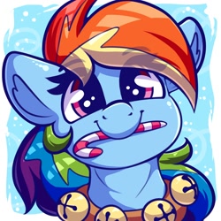 Size: 2000x2000 | Tagged: safe, artist:graphene, rainbow dash, pegasus, pony, g4, bell, bell collar, bells, bust, candy, candy cane, christmas, collar, cute, dashabetes, eyebrows, eyebrows visible through hair, female, food, high res, holiday, jingle bells, mare, mouth hold, portrait, profile picture, solo