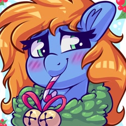 Size: 2000x2000 | Tagged: safe, artist:graphene, oc, oc only, oc:quick trip, pony, blushing, candy, candy cane, female, food, high res, holiday, jingle bells, mare, mouth hold, profile picture, solo