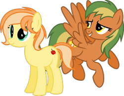 Size: 6394x5000 | Tagged: safe, artist:melisareb, oc, oc only, oc:fruitlines, oc:naviga, earth pony, pegasus, pony, 2021 community collab, derpibooru community collaboration, absurd resolution, duo, female, flying, mare, simple background, transparent background, vector, wings