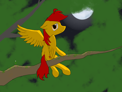 Size: 4098x3074 | Tagged: safe, artist:red hammer, artist:to touru, oc, oc only, oc:red hammer, pegasus, pony, feather, leaf, moon, solo, tree, tree branch