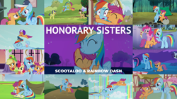 Size: 1984x1117 | Tagged: safe, edit, edited screencap, editor:quoterific, screencap, apple bloom, applejack, cherry cola, cherry fizzy, comet tail, pinkie pie, rainbow dash, rarity, scootaloo, twilight sparkle, earth pony, pegasus, pony, unicorn, brotherhooves social, crusaders of the lost mark, equestria games (episode), flight to the finish, g4, make new friends but keep discord, newbie dash, owl's well that ends well, parental glideance, sleepless in ponyville, the mysterious mare do well, apple, apple core, apple tree, book, cap, clothes, coach rainbow dash, collage, cute, cutealoo, dashabetes, dress, female, filly, food, hat, helmet, jumprope, male, mare, ponyville, rainbow dash always dresses in style, scootalove, scooter, stallion, tent, text, tree, winsome falls