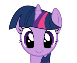 Size: 660x540 | Tagged: safe, artist:ursamanner, pinkie pie, twilight sparkle, earth pony, pony, unicorn, g4, animated, breaking the fourth wall, fourth wall, gif, happy, show accurate, simple background, smiling, smiling at you, unicorn twilight, white background