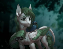 Size: 1280x992 | Tagged: safe, artist:basilllisk, oc, oc only, bird, pegasus, pony, binoculars, commission, digital art, forest, solo, tail, tree, wings