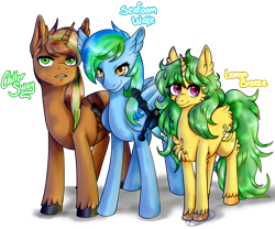 Size: 2254x1876 | Tagged: safe, artist:eli fall, oc, oc only, oc:chiller sway, oc:lemon breeze, oc:seafoam wake, pegasus, pony, unicorn, chest fluff, family, family photo, female, fluffy, full body, group, looking at you, male, mare, names, scabbard, simple background, sling, smiling, smirk, stallion, transparent background, unshorn fetlocks