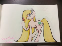 Size: 2592x1936 | Tagged: safe, artist:tan art, oc, oc only, oc:snowy marsh, butterfly, earth pony, pony, female, looking at hoof, mare, raised hoof, side view, solo, traditional art