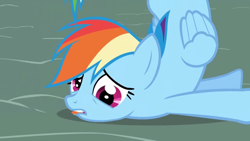 Size: 1280x720 | Tagged: safe, screencap, rainbow dash, pony, boast busters, g4, derp, solo