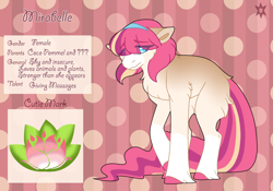 Size: 3500x2454 | Tagged: safe, artist:nobleclay, oc, oc only, oc:mirabelle, earth pony, pony, abstract background, female, high res, mare, offspring, parent:coco pommel, reference sheet, solo, transgender