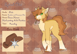 Size: 3500x2454 | Tagged: safe, artist:nobleclay, oc, oc only, oc:spiced chai, earth pony, pony, hat, high res, male, offspring, parent:braeburn, parent:cinnamon chai, solo, stallion