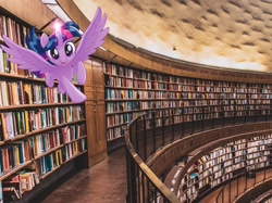 Size: 2549x1911 | Tagged: safe, twilight sparkle, alicorn, pony, g4, my little pony: the movie, book, bookhorse, bookshelf, cute, flying, happy, irl, library, looking at you, open mouth, photo, ponies in real life, smiling, solo, stock vector, that pony sure does love books, twiabetes, twilight sparkle (alicorn)