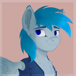 Size: 3500x3500 | Tagged: safe, artist:nyota71, oc, oc only, oc:dj starflight, pegasus, pony, cheek fluff, chest fluff, clothes, colored eartips, colored pupils, commission, ear fluff, high res, male, simple background, smiling, solo, stallion, vest