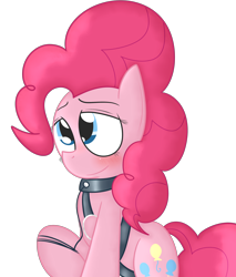 Size: 1280x1499 | Tagged: safe, artist:mr-degration, pinkie pie, earth pony, pony, g4, bdsm, blushing, collar, female, harness, leash, pet play, simple background, solo, tack, transparent background