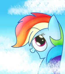 Size: 2013x2271 | Tagged: safe, artist:mr-degration, rainbow dash, pegasus, pony, g4, female, high res, open mouth, profile, solo