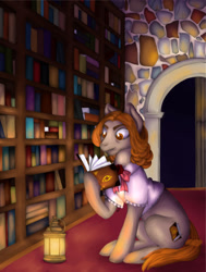 Size: 967x1280 | Tagged: safe, artist:sugar lollipop, oc, oc only, oc:booky, earth pony, pony, book, bookshelf, complex background, digital art, digital painting, female, lantern, library, reading, request, requested art, serious, serious face, sitting, solo