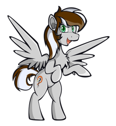 Size: 4604x5000 | Tagged: safe, artist:aegish, artist:danulion, oc, oc only, oc:raxella gessu, oc:raxella s. gessu, pegasus, pony, 2021 community collab, derpibooru community collaboration, chest fluff, colored pupils, happy, looking at you, male, open mouth, pegasus oc, rearing, simple background, smiling, solo, spread wings, stallion, standing, standing on one leg, standing up, transparent background, wings