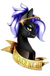 Size: 1054x1600 | Tagged: safe, artist:minelvi, oc, oc only, oc:cloudy night, earth pony, pony, bust, earth pony oc, eyelashes, simple background, solo, transparent background