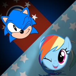 Size: 768x768 | Tagged: safe, artist:thatradhedgehog, rainbow dash, pegasus, pony, g4, crossover, crossover shipping, female, flag of equestria, male, shipping, sonic the hedgehog, sonic the hedgehog (series), sonicdash, straight